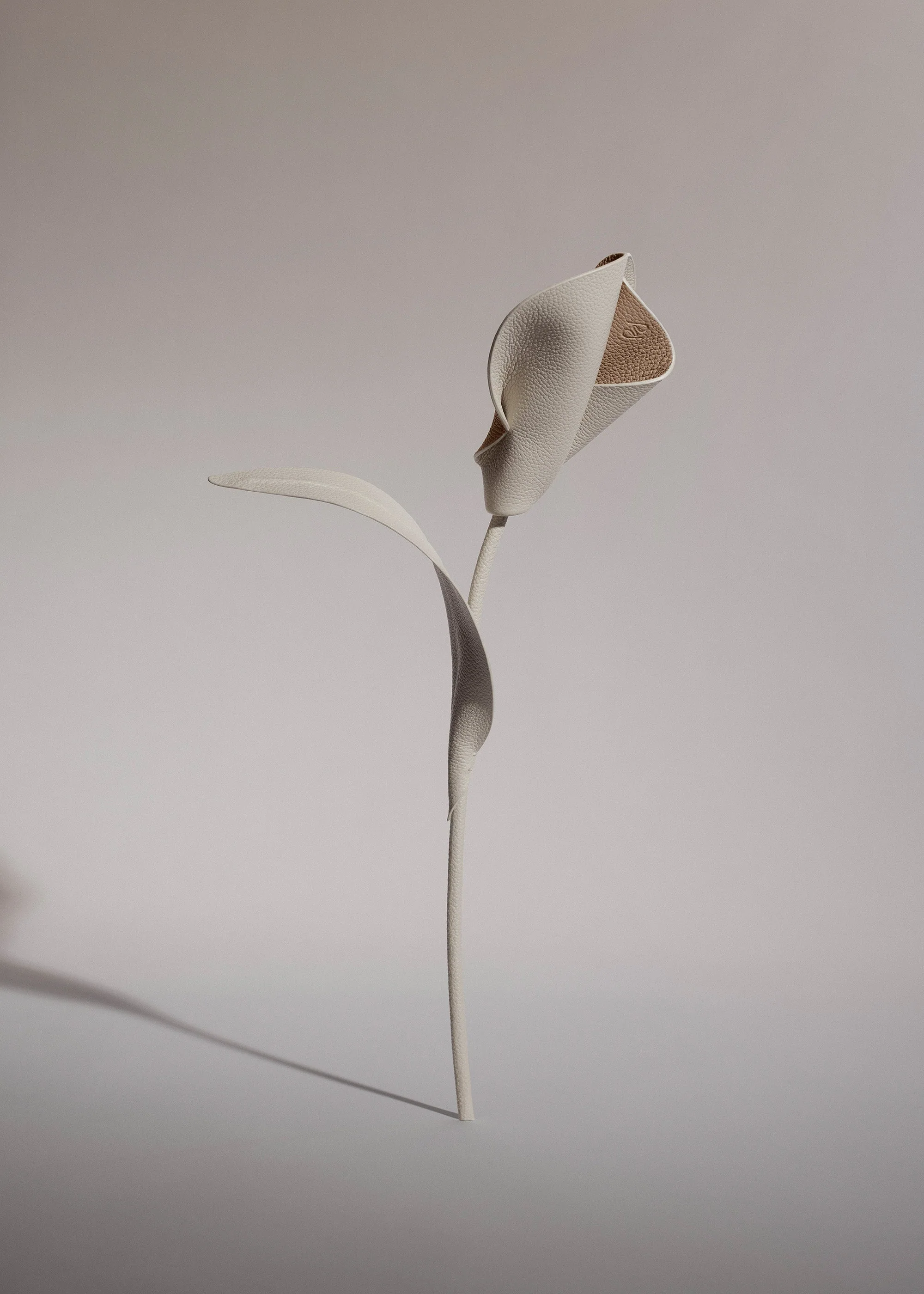 Pili Flower - Chalk - Image 2